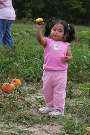 Girl holding small pumpkin